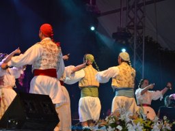 Festival de Folkore en Mula